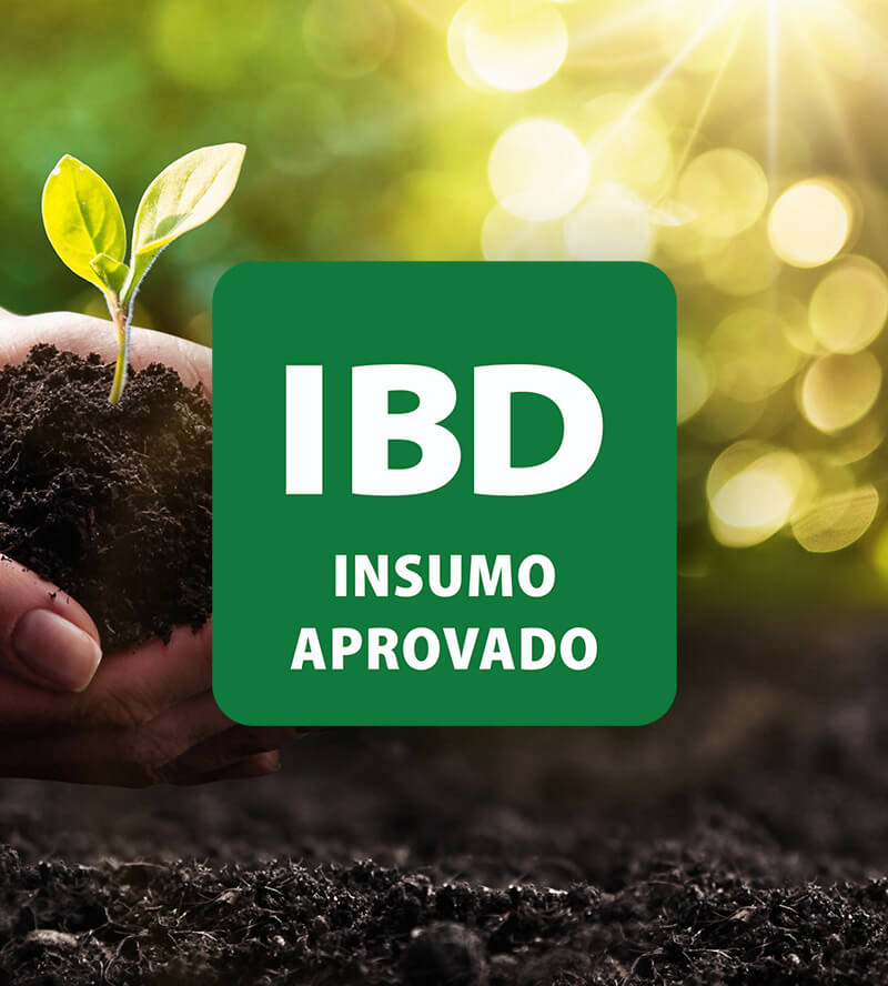 Selo ibd aprovado